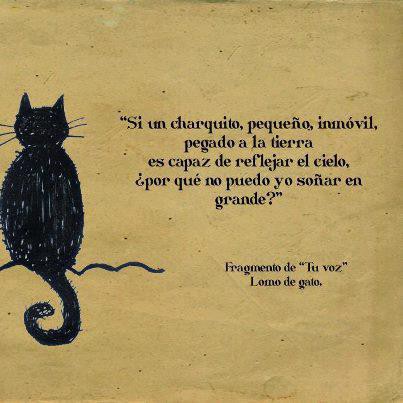 Nuestros sueños son tan importante como todo